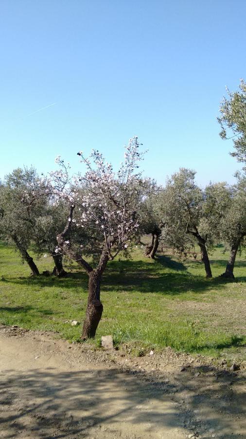 Cal Joanet, Acollidora Caseta A 格拉塔略普斯 外观 照片